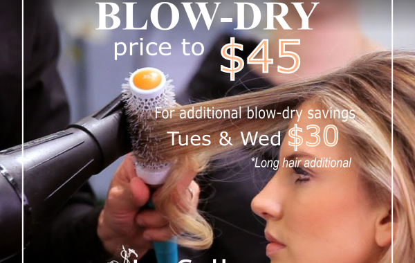 Le Collage Blow Dry Price Reduction
